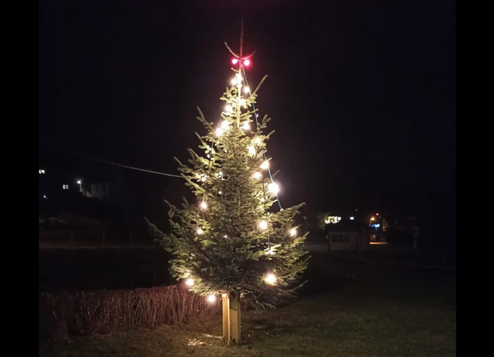 Arnsgrüner Weihnachtsbaum 2020