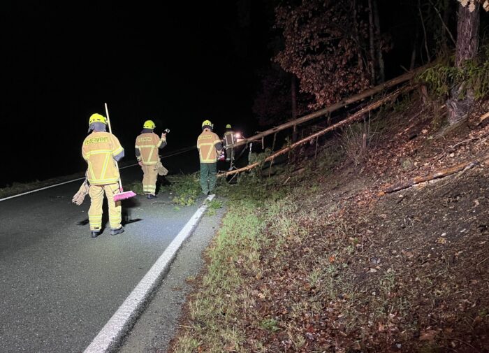 Hilfeleistung Baum auf Straße