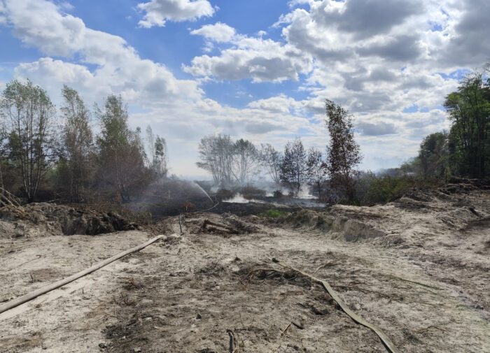 Brand Wald überörtlich