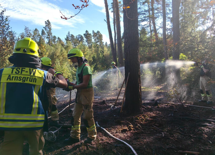 Brand Wald